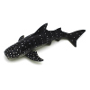 鲸鲨 塑料