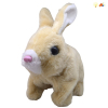 小短毛兔(4色平均混) 电动 灯光 声音 不分语种IC 布绒
