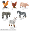 6款式家禽动物 塑料