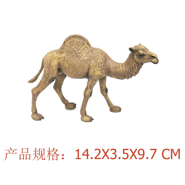 单峰骆驼 塑料