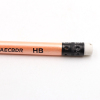 12PCS 12pcsHB铅笔 石墨/普通铅笔 HB 木质