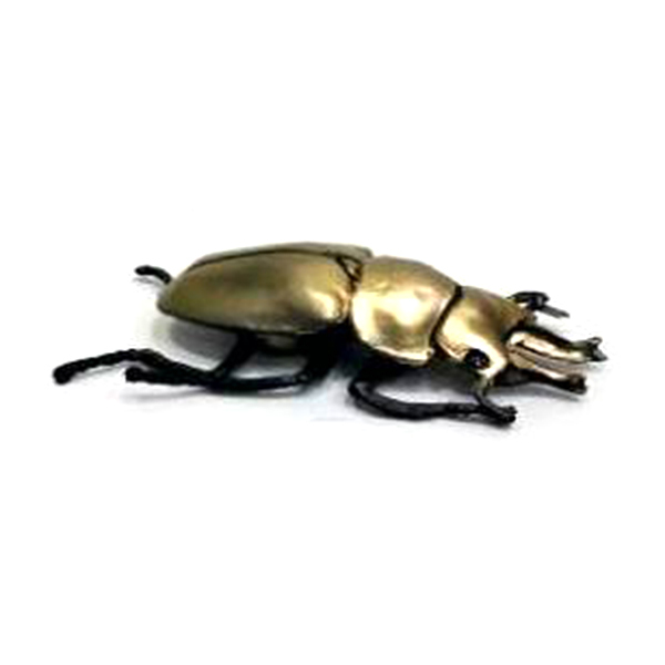 黄金鬼锹型虫 塑料
