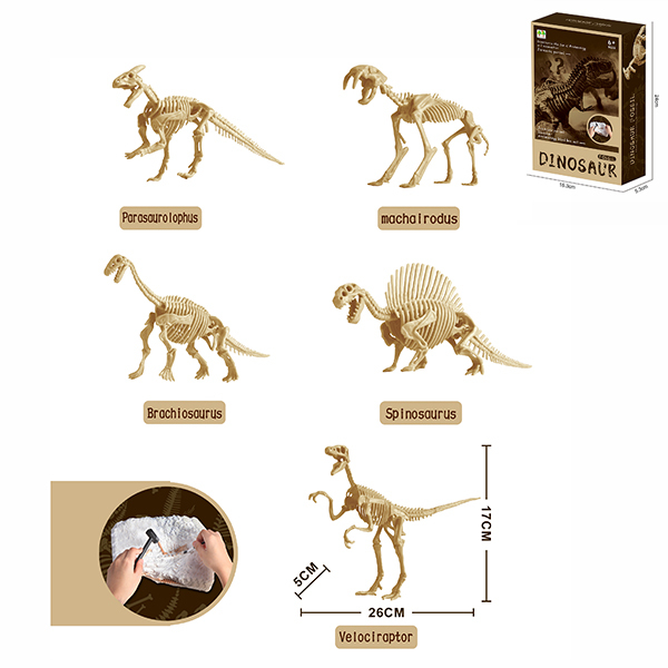 5款考古化石恐龙骨套装 塑料