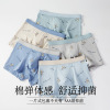 青少年抗菌内裤（70-150斤）（12PCS/中包） 5%氨纶 95%棉 男童 M-XXL 平角裤