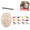 恐龙蛋考古挖掘  石膏