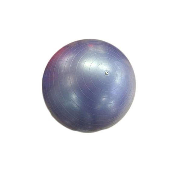 55cm700g健身球 塑料