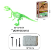 考古大化石夜光拼装恐龙套装（霸王龙） 塑料